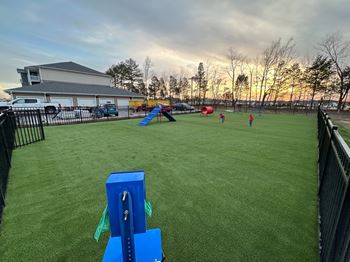 Bark park